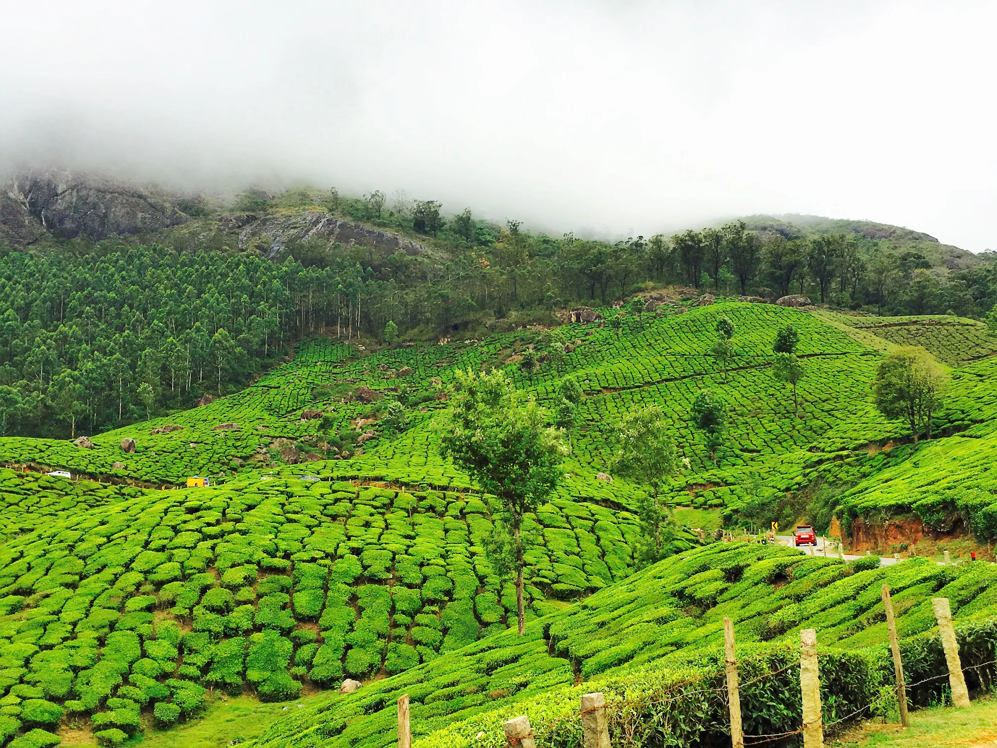 Kerala 3