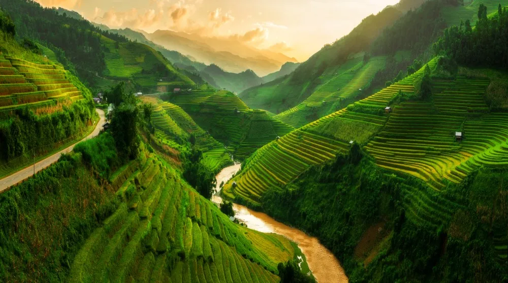 Vietnam 3