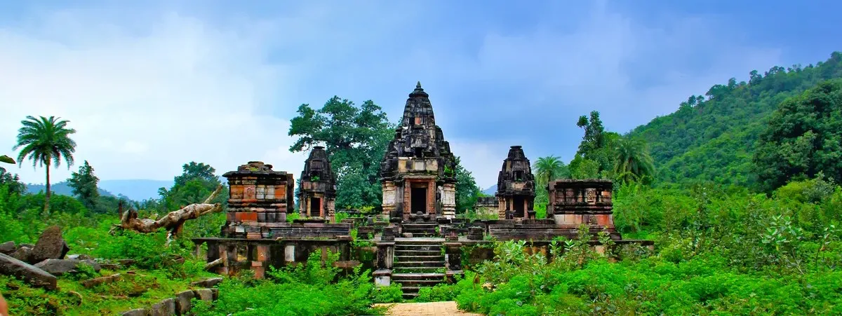 Polo Forest 2